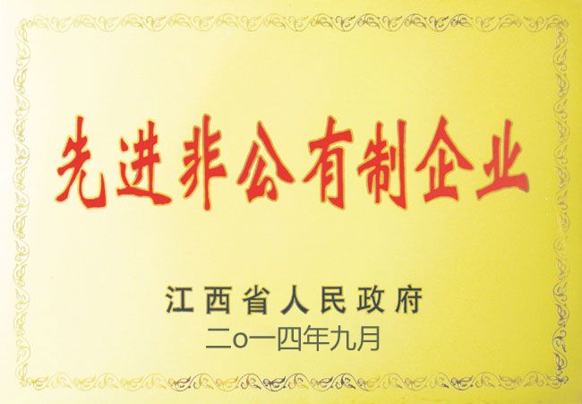先进非公有制企业