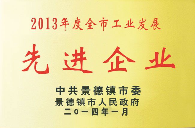 2013年度全市工业发展先进企业